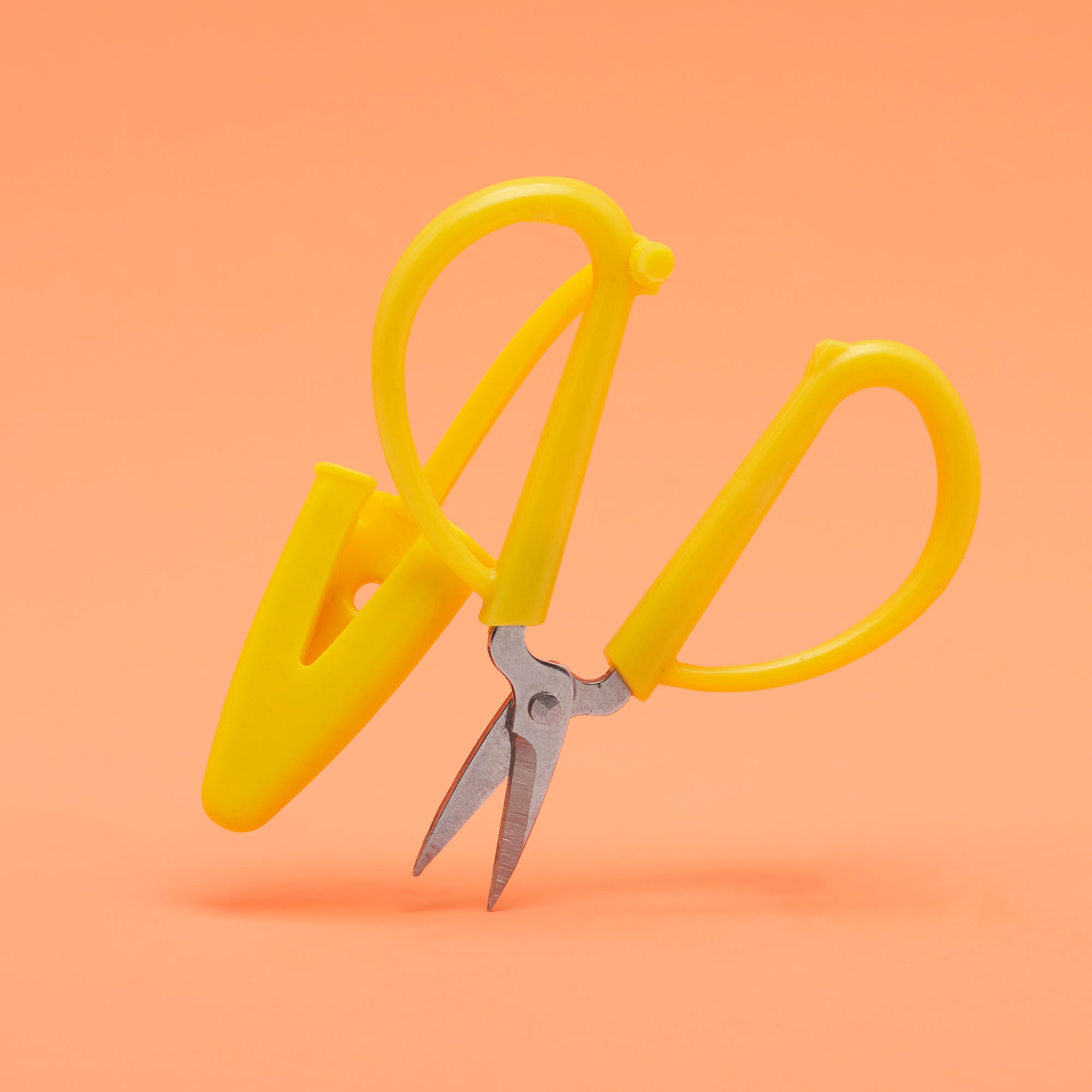 Alternative view of Wee Woobly Scissors