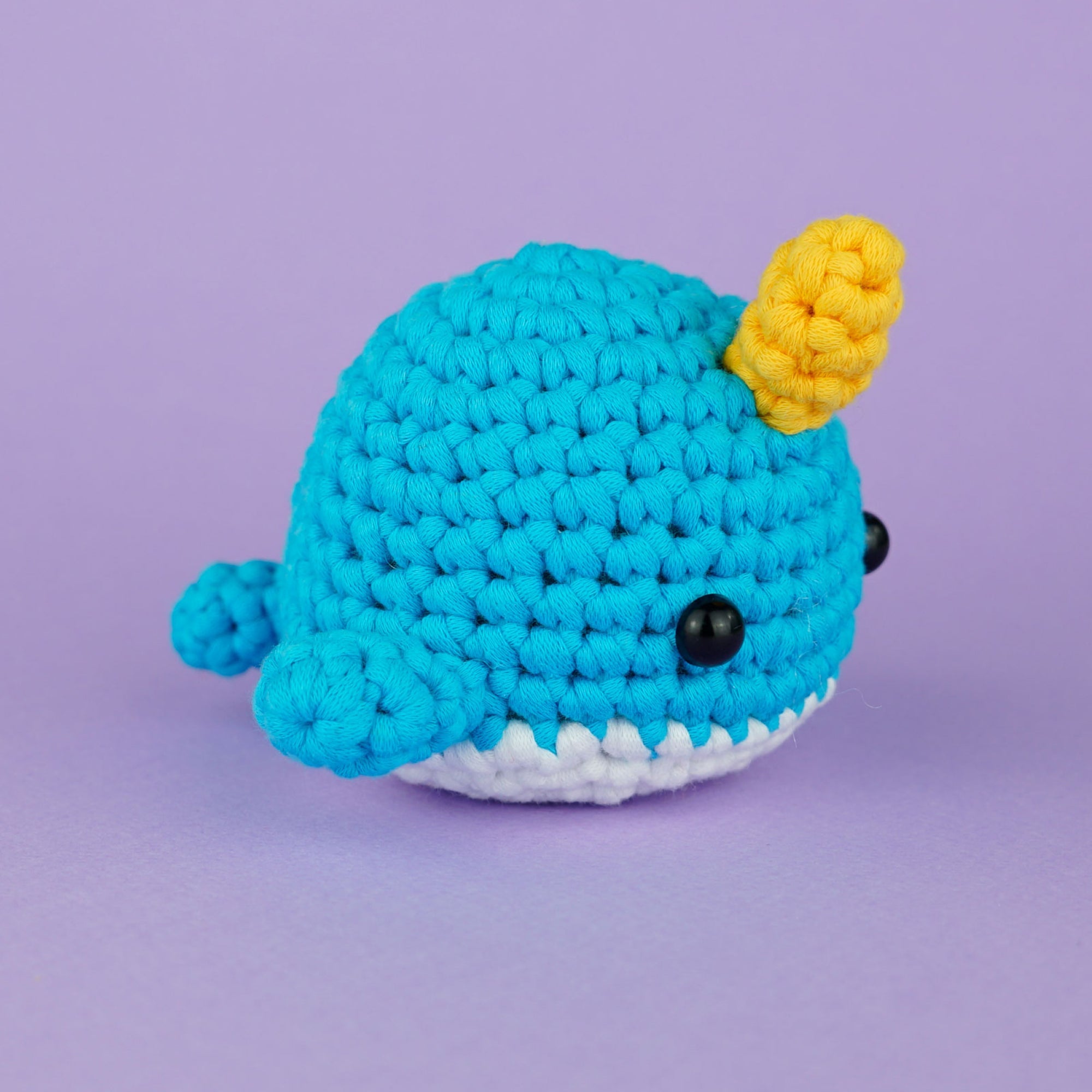 Alternative view of Swimming with the Sharks Bundle